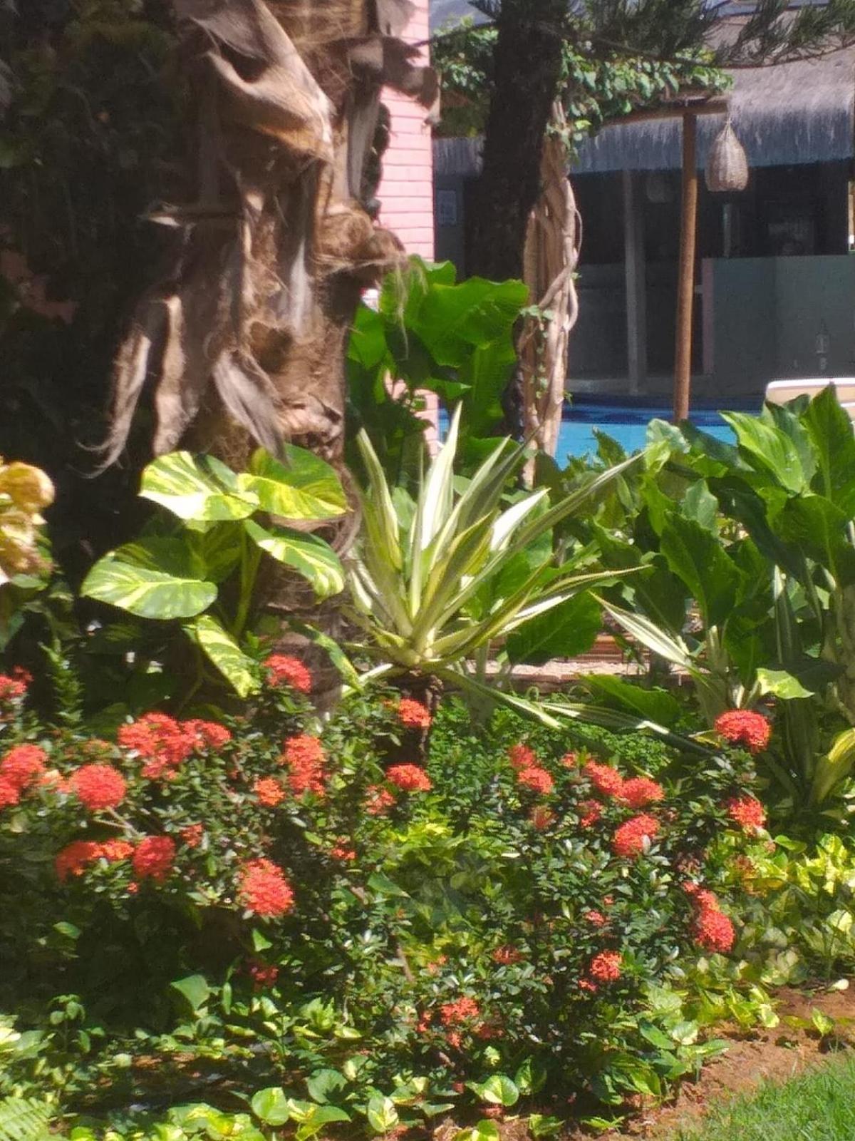 Chale Tulipa - Centro Praia Da Pipa Praia de Pipa Exteriér fotografie